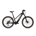EC1 - ELECTRIC ALLOY BIKE