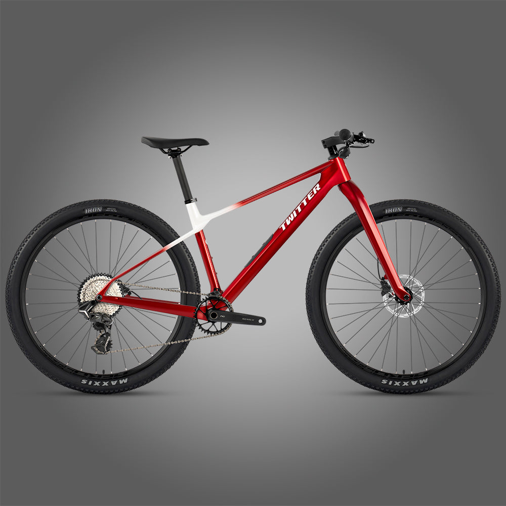 M10 - Twitter Carbon Mountain Bike