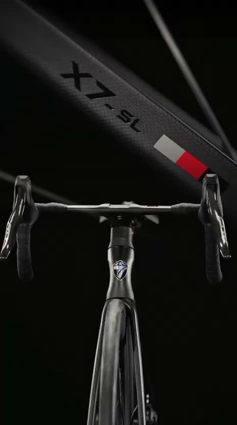 X7 - Twitter Carbon Aero Road Bike